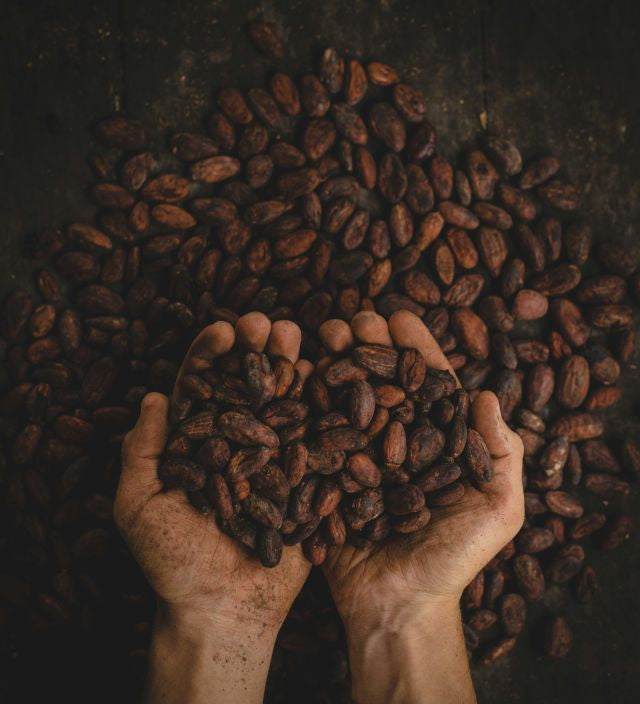 Chocolate From Cacao Husk?