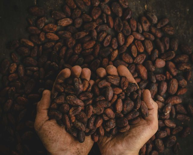 Chocolate From Cacao Husk?